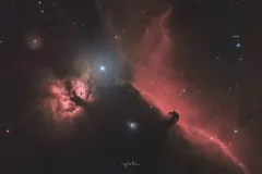 HHFLM