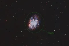 M1_WVAA___Contest_3-24